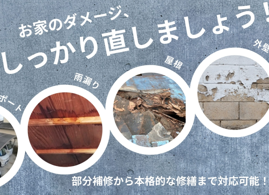 Renovia株式会社の事業内容