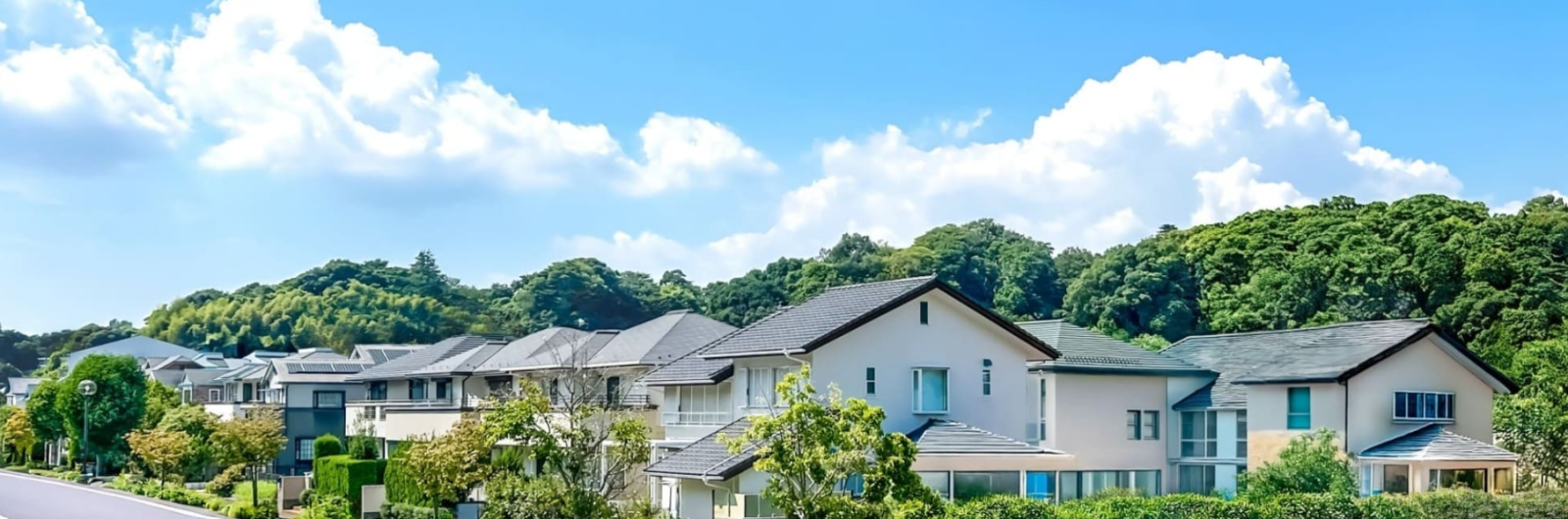Renovia株式会社の企業紹介